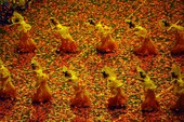 Similar image