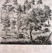 Similar image
