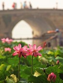 Similar image