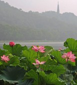 Similar image