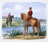 Similar image
