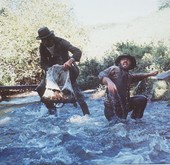 Similar image