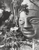 Similar image