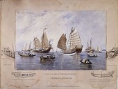 Similar image