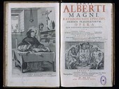 Similar image