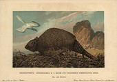 Similar image