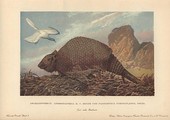 Similar image