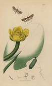 Similar image