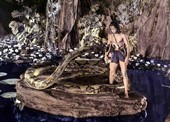 Similar image