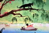 Similar image