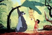 Similar image