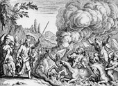 Similar image