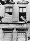 Similar image