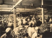 Similar image