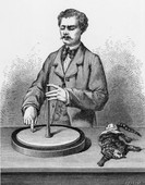 Similar image
