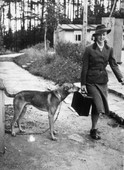 Similar image
