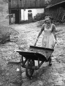 Similar image