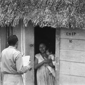 Similar image