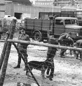 Similar image