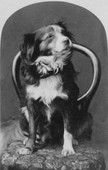 Similar image
