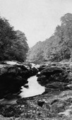 Similar image