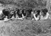 Similar image