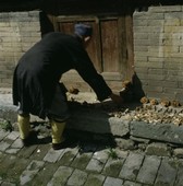 Similar image