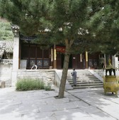 Similar image