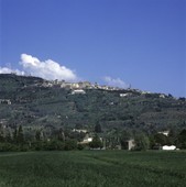 Similar image