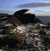 Similar image