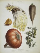 Similar image