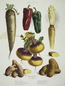 Similar image
