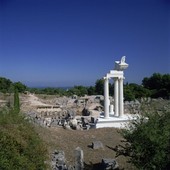 Similar image