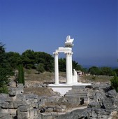 Similar image
