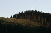 Similar image