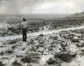 Similar image