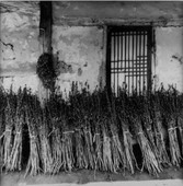 Similar image