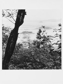 Similar image