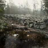 Similar image