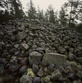 Similar image