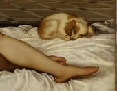 Similar image