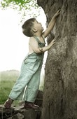 Similar image