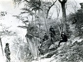 Similar image