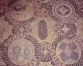 Similar image