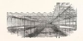 Similar image