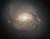 Similar image