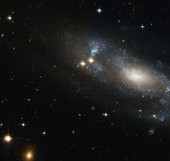 Similar image