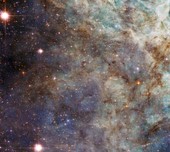 Similar image