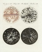 Similar image