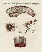Similar image